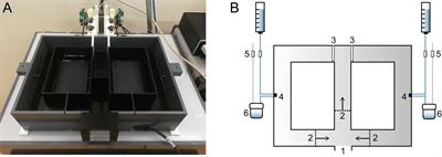 Longitudinal Assessment of Working Memory Performance in the APPswe/PSEN1dE9 Mouse Model of Alzheimer’s Disease Using an Automated Figure-8-Maze